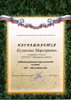 Куликова (РО-химия) 2007-2008